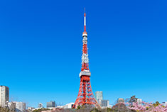 東京の住み込みの仕事